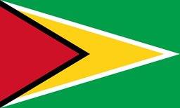Logo of Embassy of Guyana