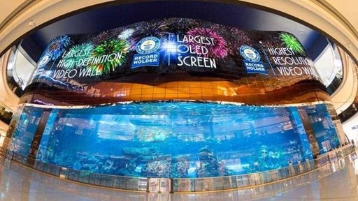 New OLED screen at Dubai Aquarium breaks Guinness World Record