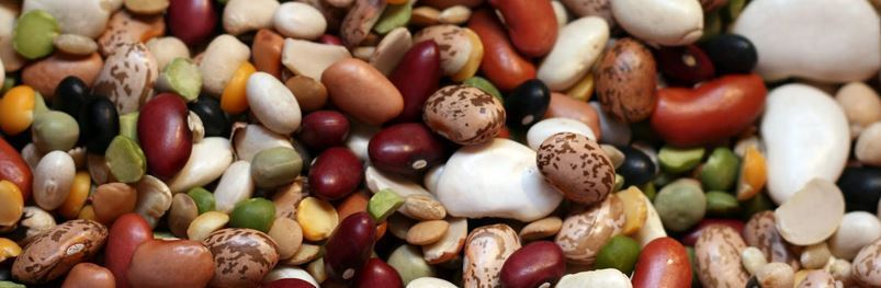 Why are beans good for diet?