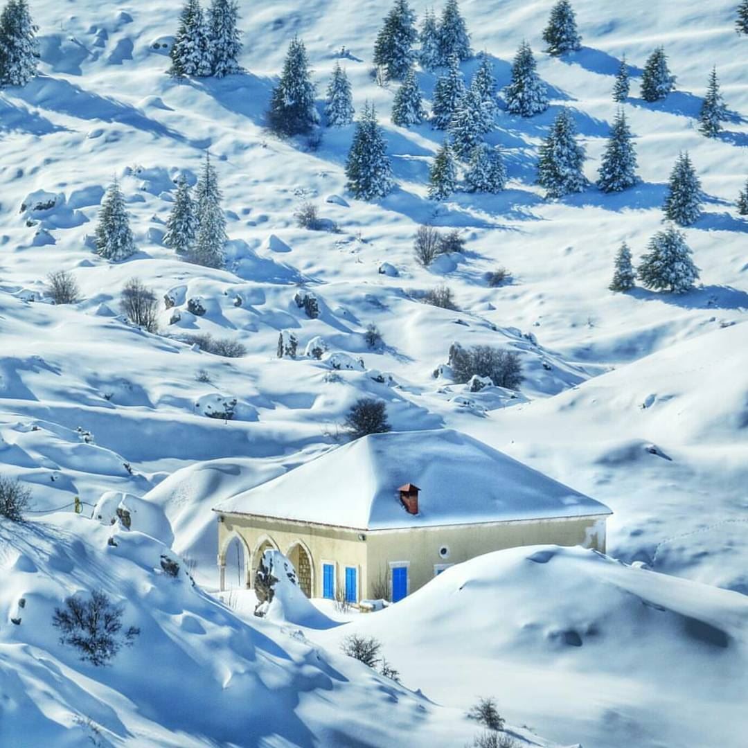 Amazing Snapshots of Winter in Lebanon