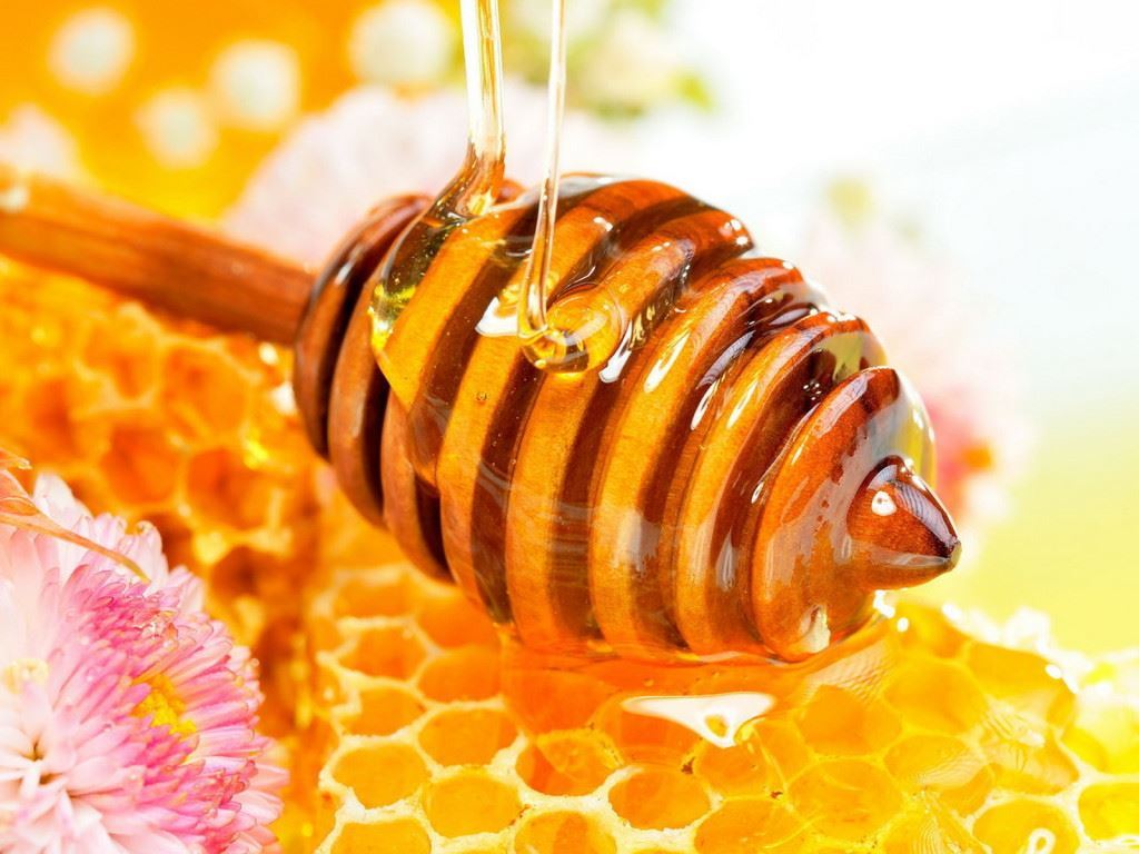 قصة وعبرة: النملة وقطرة العسل