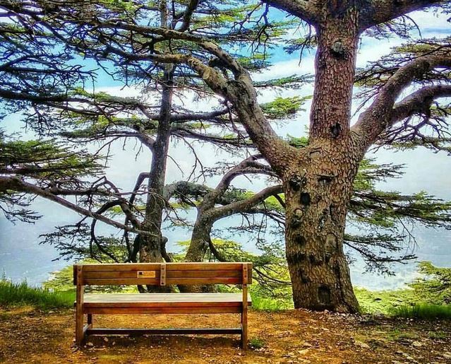 3 things that remind you of Lebanon wherever you go