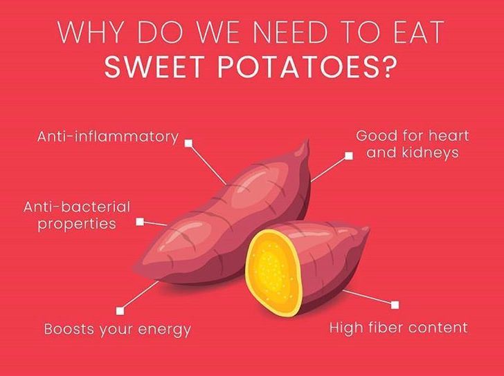 Why Do We Need to Eat Sweet Potatoes?
