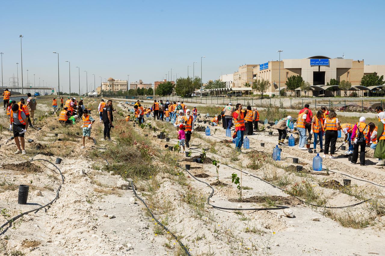 Burger King Jr. Club Plants 500 Trees – Impacts People and Planet