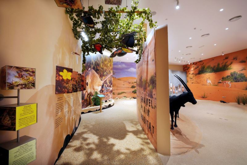 New visitor centre opens at Dubai Desert Conservation Reserve