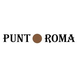 Logo of Punt Roma