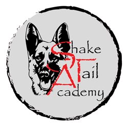 Shake Tail Academy