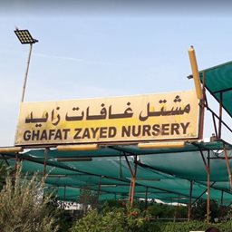 Ghafat Zayed Nursery