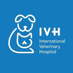 Logo of International Veterinary Hospital - Abdullah Port - Ahmadi, Kuwait