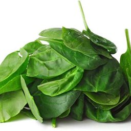 Logo of Spinach