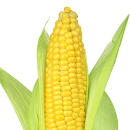 Logo of Corn