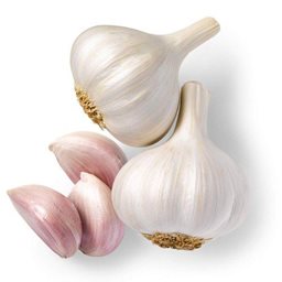 Logo of Garlic