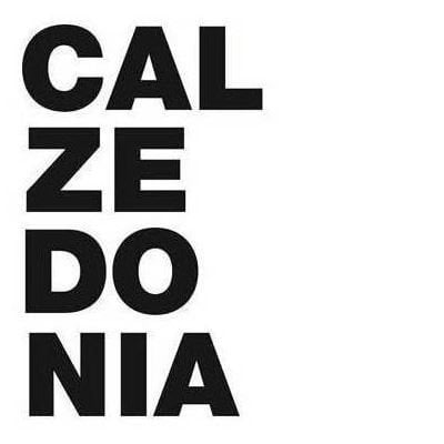 Logo of Calzedonia