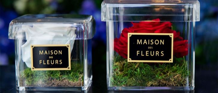 Cover Photo for Maison Des Fleurs
